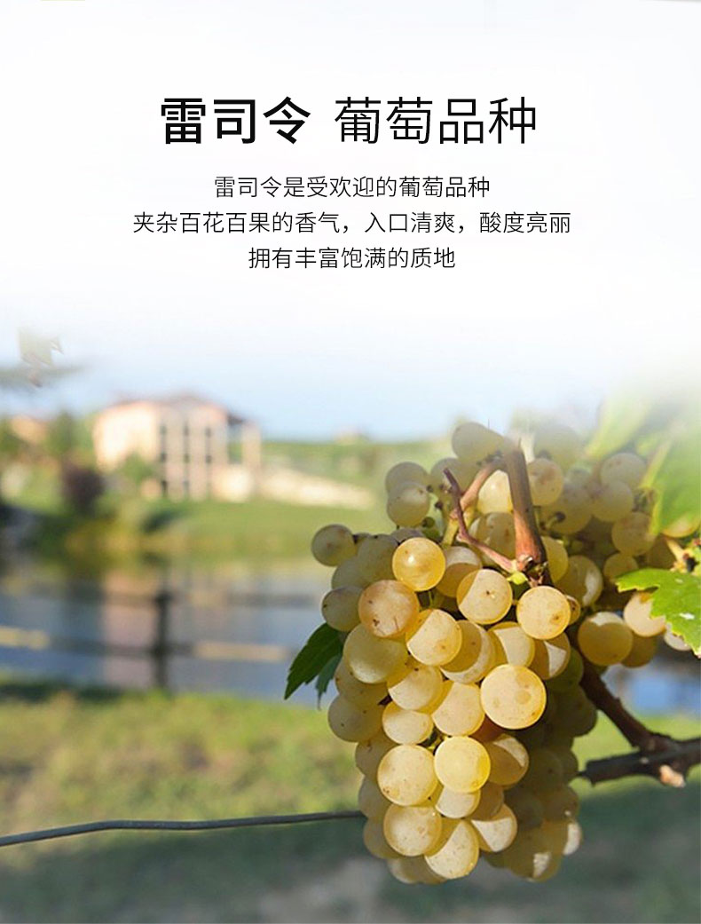 起泡酒_02.jpg
