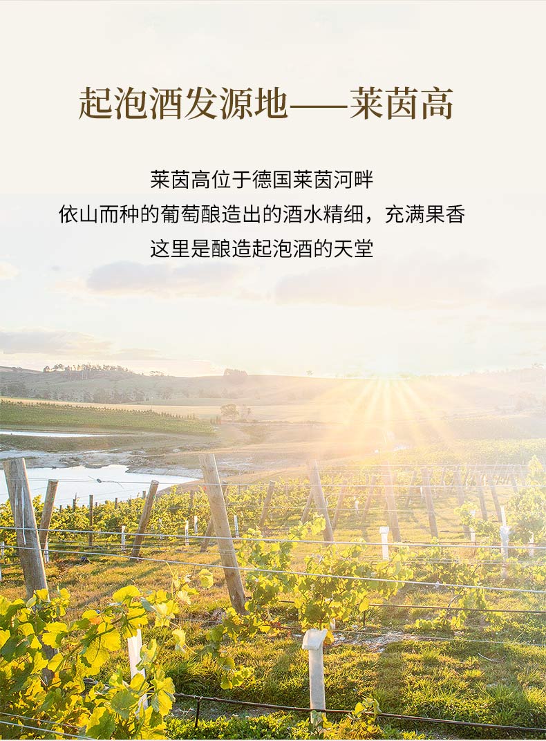 1682063217267737.jpg 起泡酒_03.jpg