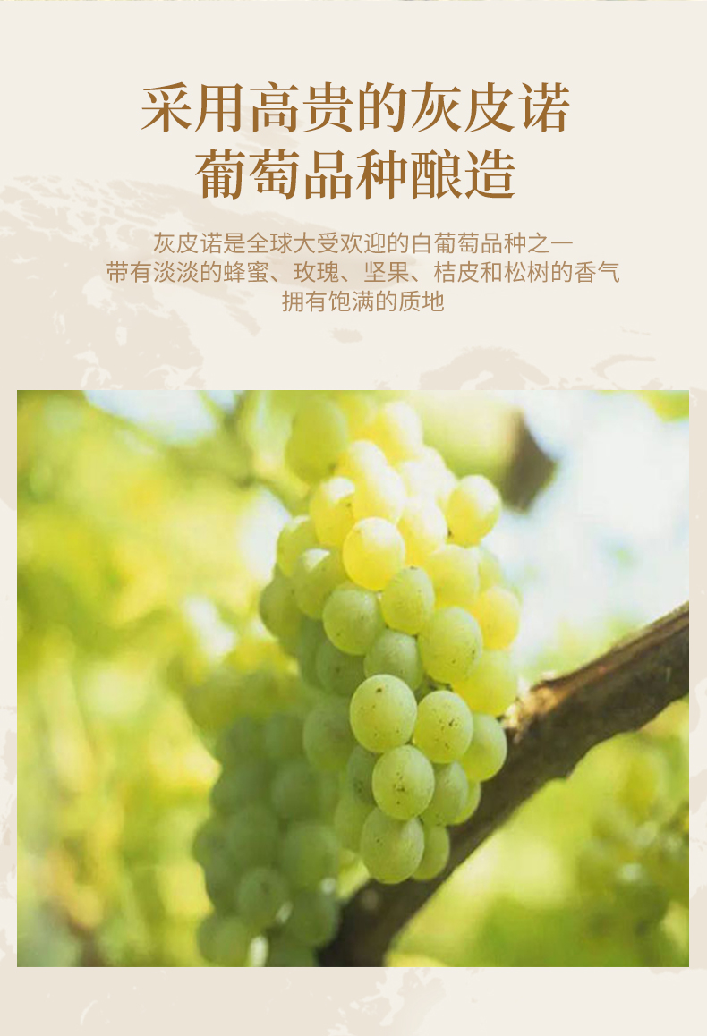 葡萄酒_02.jpg
