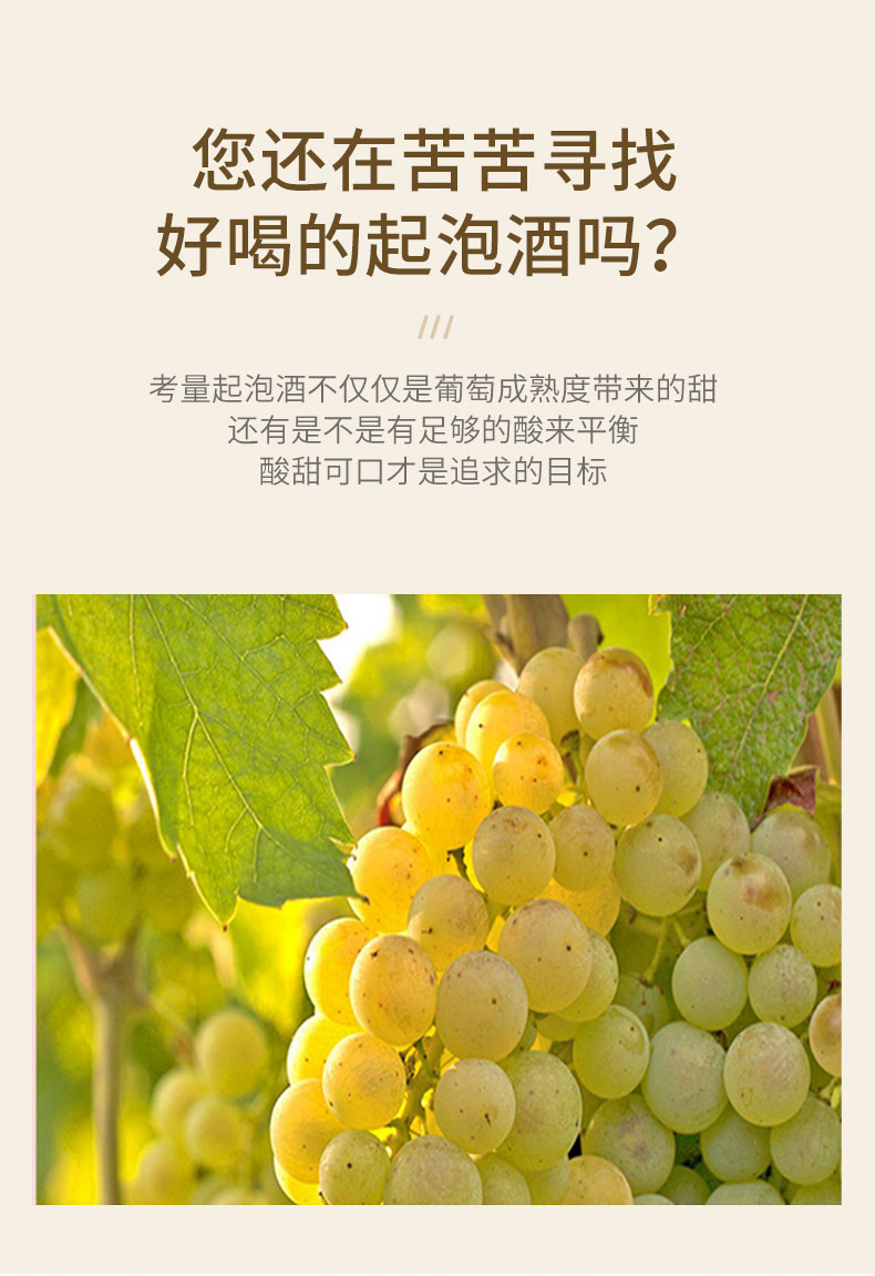 起泡酒_02.jpg