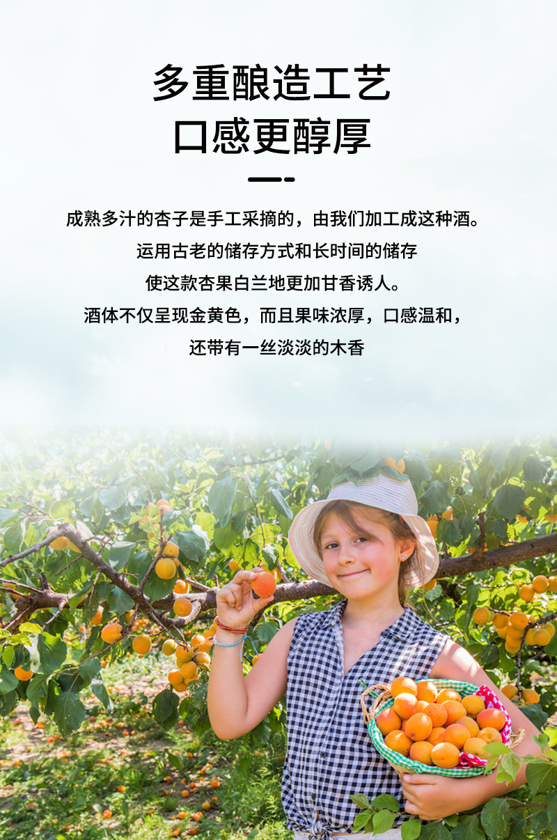 杏子白兰地_02.jpg