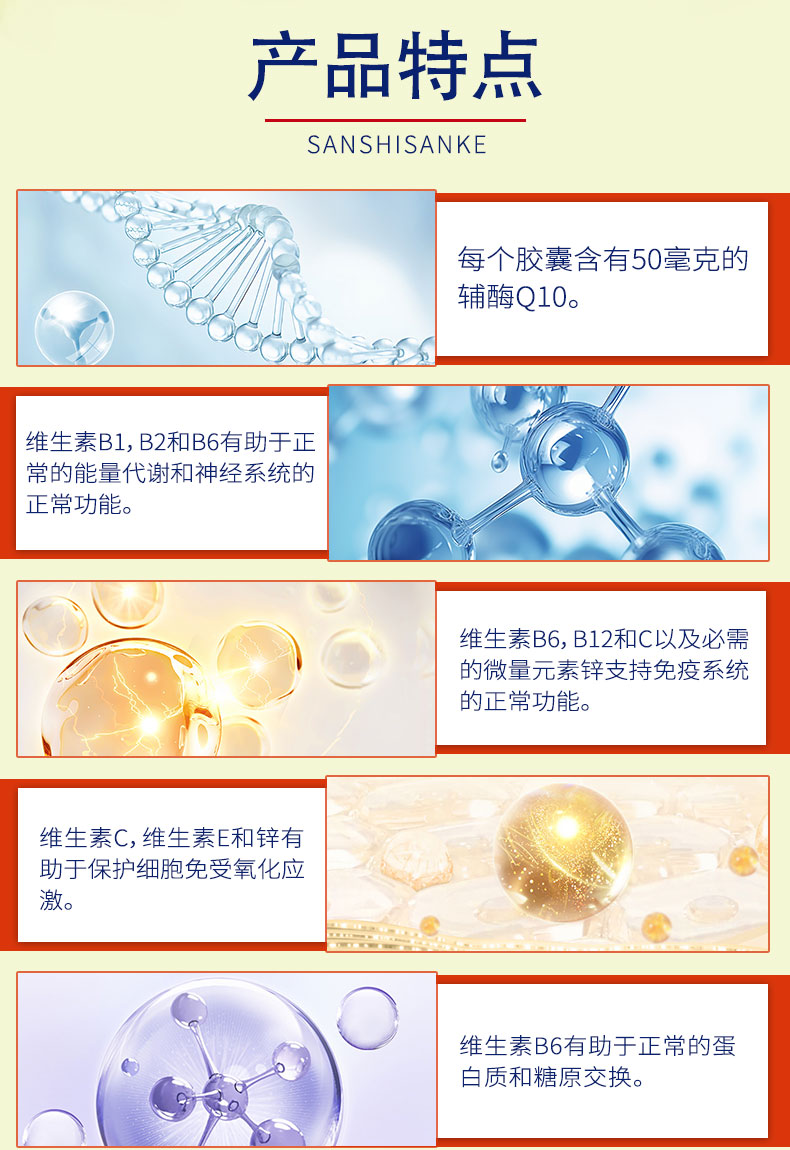 辅酶Q10-2.jpg