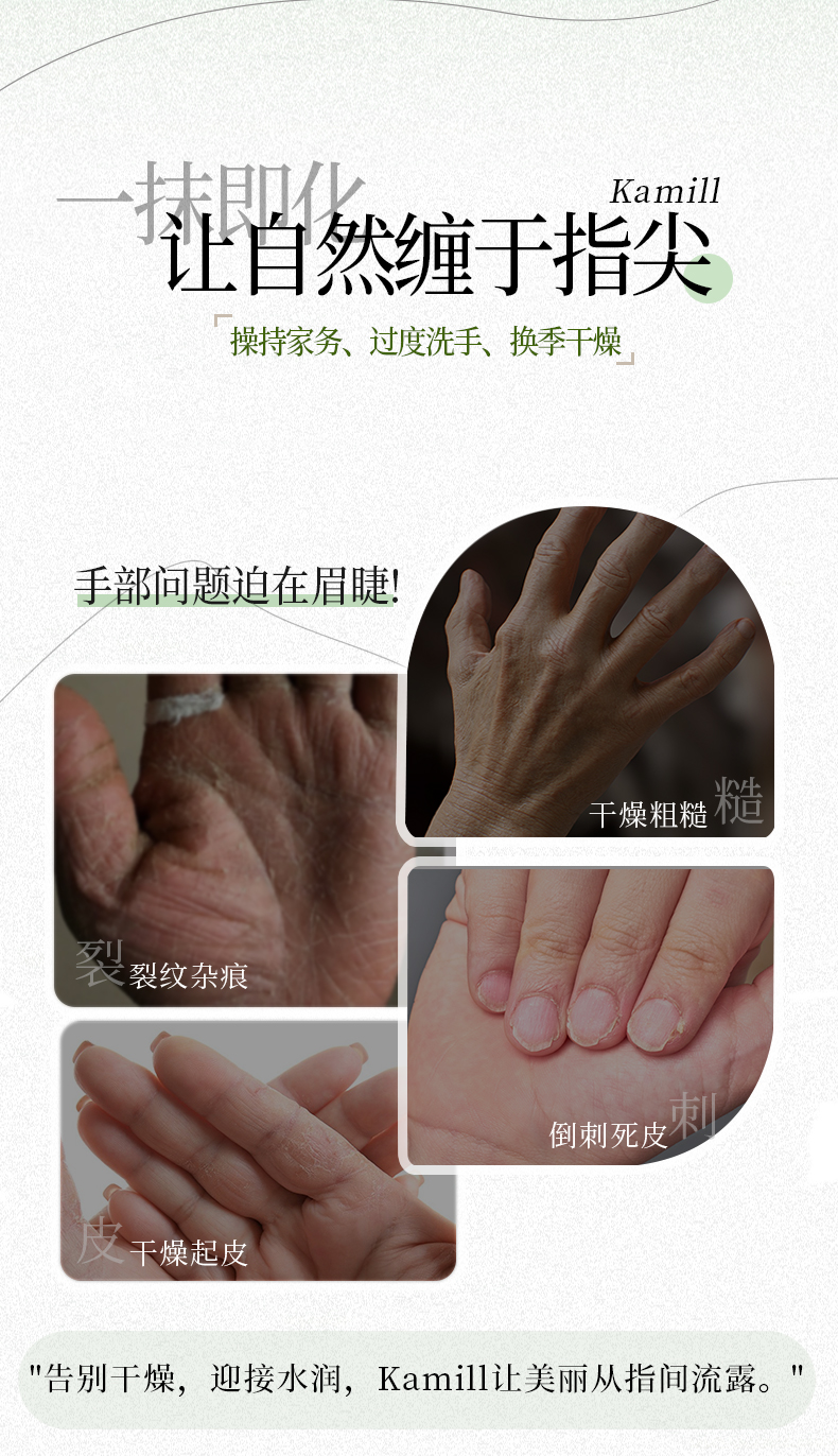 微信图片_20241226135740.jpg